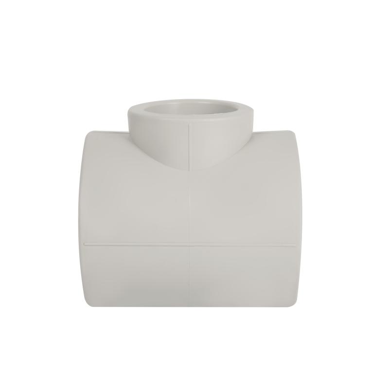 sd00029384_3.jpg